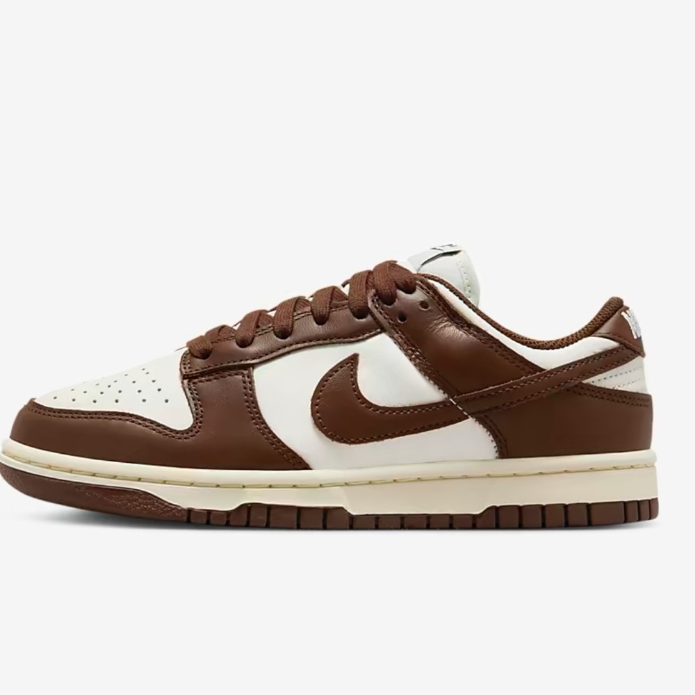 Brown Nike Dunks - image 1